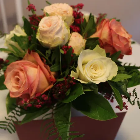 Dompanorama- Luxurioese Apartment *